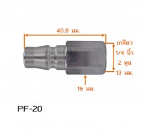 PF 20 วัดไซต์